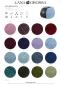 Preview: AM Alpaca Farbkarte 2026/1