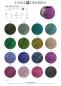 Preview: Farbkarte Cool Wool Vintage 2026