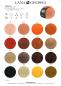Preview: Ecopuno Farbkarte H/W 2026 - 1