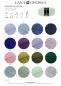 Preview: Meilenweit 50 Cashmere Farbkarte 2026/1