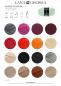 Preview: Meilenweit 50 Cashmere Farbkarte 2026/2