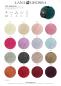 Preview: Cool Merino Big Farbkarte 2026/1