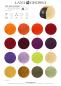 Preview: Farbkarte 1 Cool Wool Superbig 2026