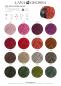 Preview: Farbkarte Cool Wool Superbig Vintage 1