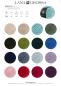 Preview: Farbkarte 1 Merino Più 2026