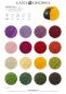 Preview: Farbkarte Mohair di Gio 2026/1