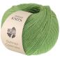 Preview: Summer Cashmere Farbe 24 Grün