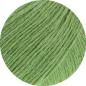Preview: Summer Cashmere Farbe 24 Grün