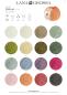 Preview: Farbkarte 1 Tencellino