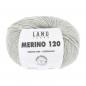 Preview: Merino 120 Farbe 223 Hellgrau Mélange