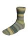 Preview: Socke aus Super Soxx Merino 4fach color Farbe 528