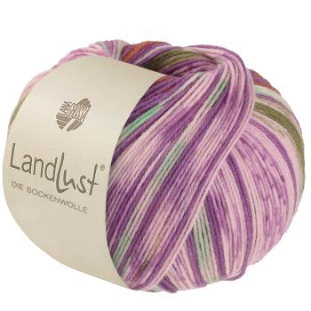 Ein Knäuel der Landlust Die Sockenwolle Farbe 611