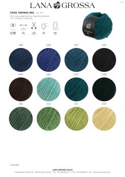 Preview: Cool Merino Big Farbkarte 2026/2