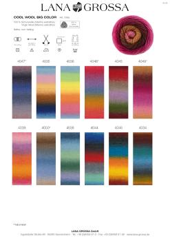 Preview: Farbkarte Cool Merino Big Color 1/26