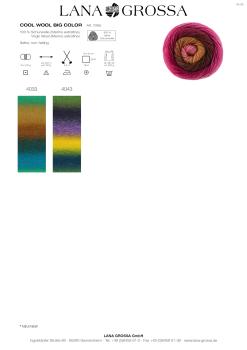 Preview: Farbkarte Cool Merino Big Color 2/26