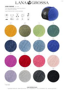 Preview: Farbkarte 1 der Cosy Socks H/W 2026