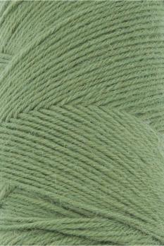 Jawoll Farbe 198 Grasgrün