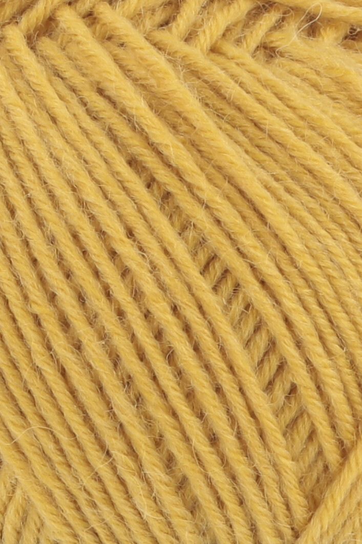 150 Marigold