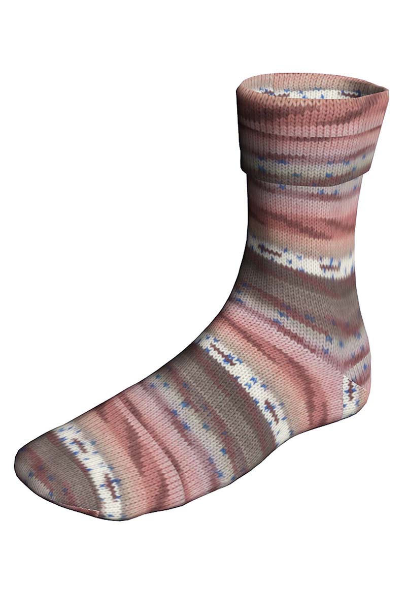 545 Black Forrest Cake