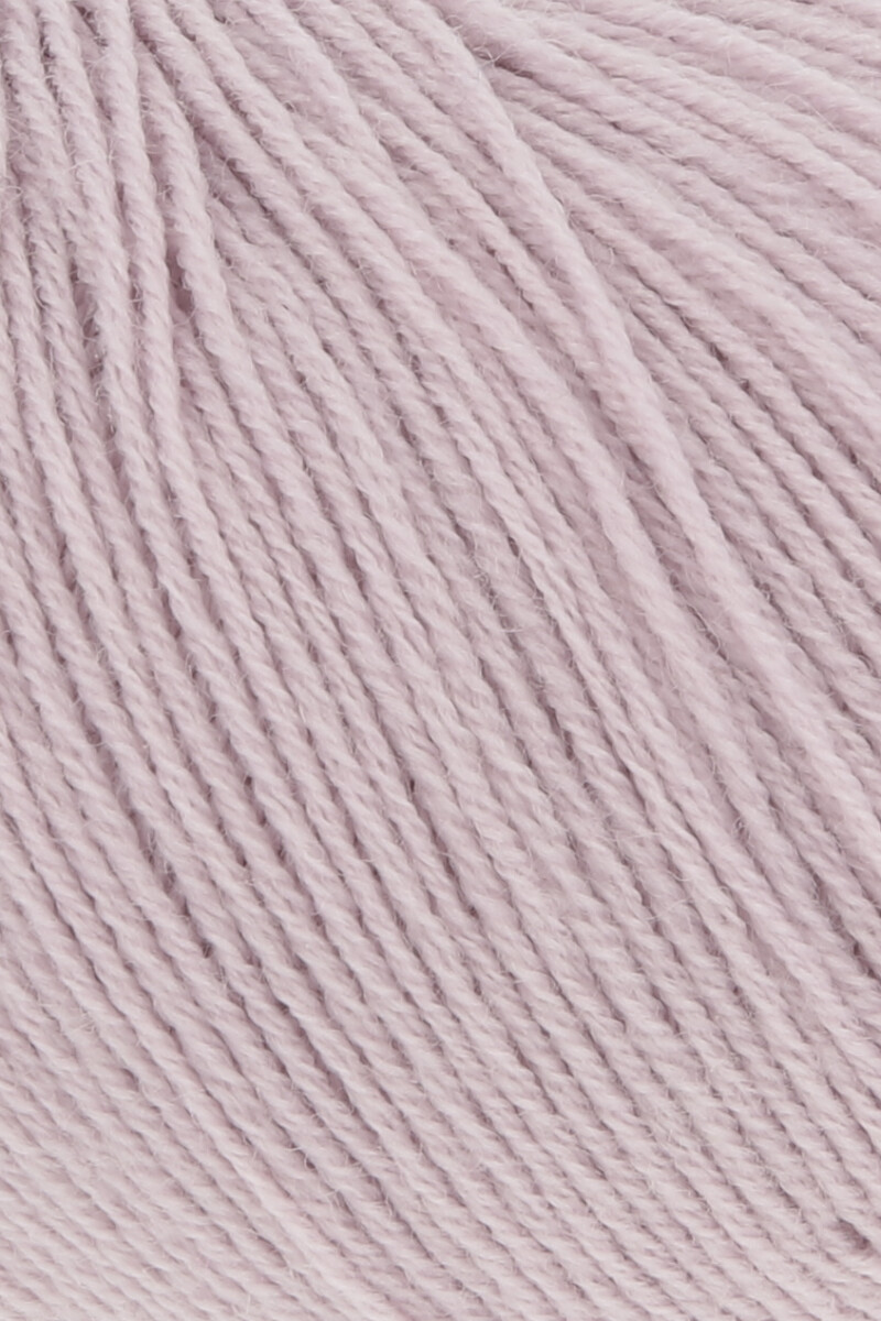 19 Rosa