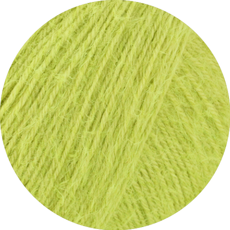 24 Limette