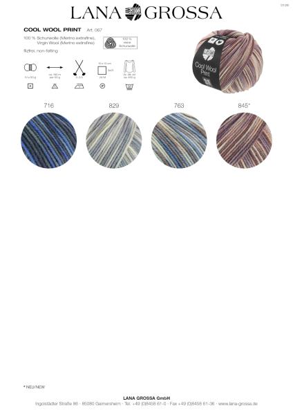 Farbkarte 2 Cool Wool Print/Punto 2026
