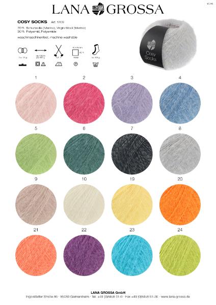 Farbkarte der Cosy Socks 2026