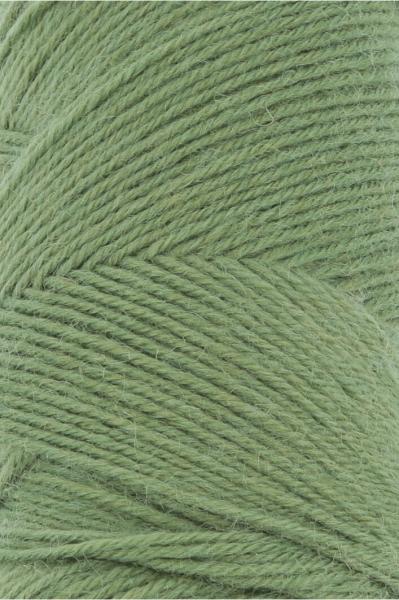 Jawoll Farbe 198 Grasgrün